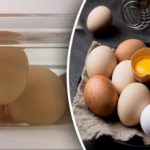 Ako skontrolovať čerstvosť vajec za 5 sekúnd: najrýchlejší a najjednoduchší
