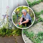 Burina zmizne do 24 hodín: ktorými dvoma prípravkami ju postriekať